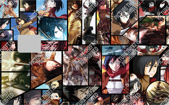 Bank  Card Sticker-BC-60